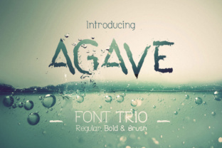 Agave Font Trio: A Thoughtful Typographic System for Modern Design