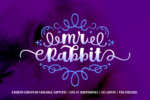 Mr. Rabbit Font: Festive, Bold & Swash-Filled