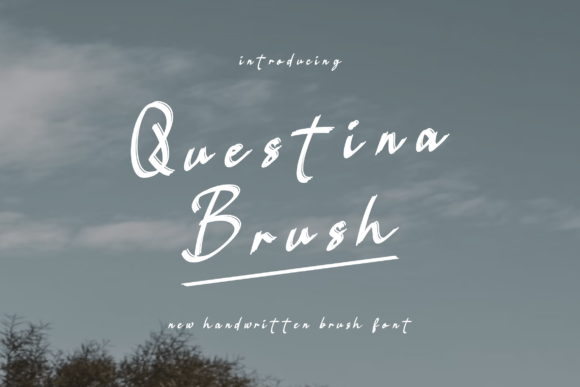 Questina Brush Font: A Practical Look at Its Texture, Use, and Fit